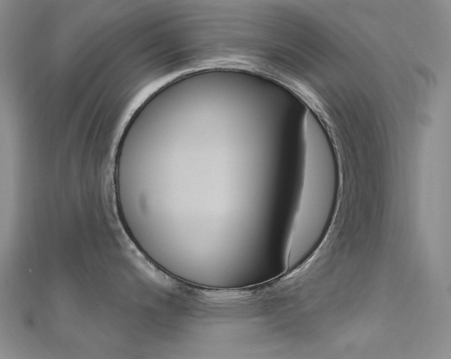 X0000112161200200908070932