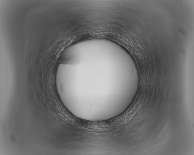 X0000112161201200908070931