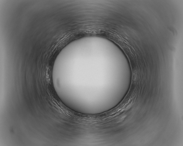 X0000112161202200908070931
