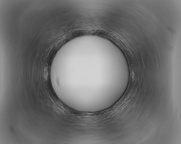 X0000112161204200908070931