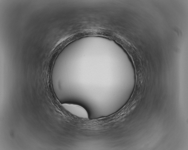 X0000112161206200908070931