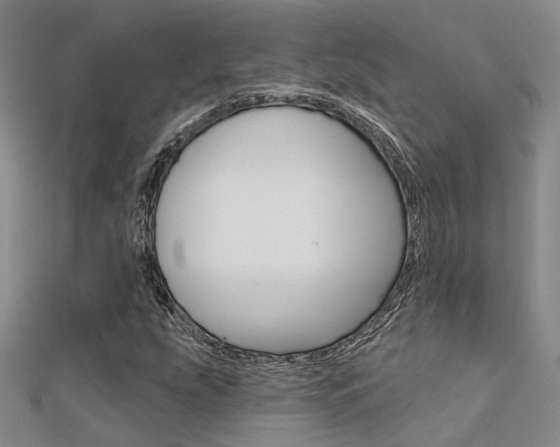 X0000112161207200908070931