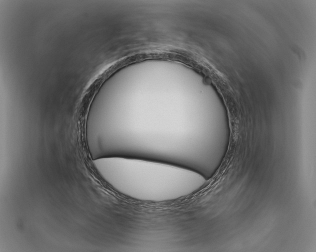 X0000112161208200908070931