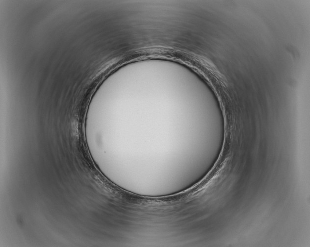 X0000112161209200908070931