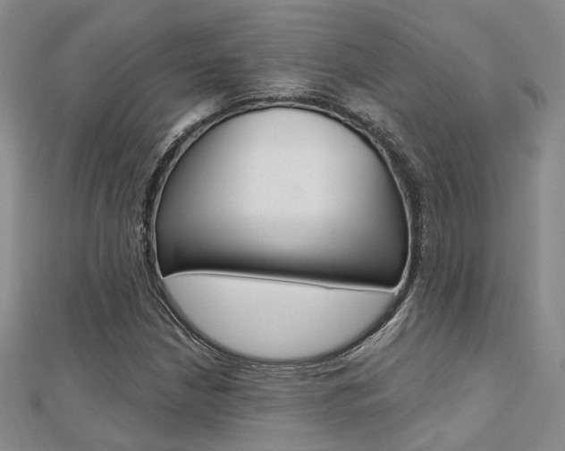 X0000112161210200908070931