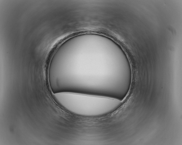 X0000112161214200908070931