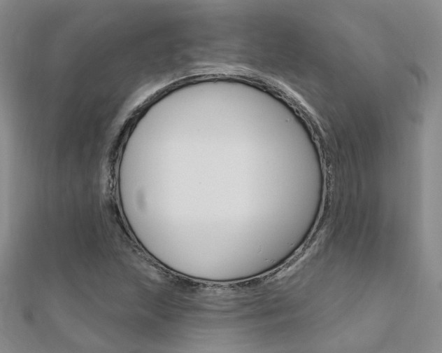 X0000112161215200908070931