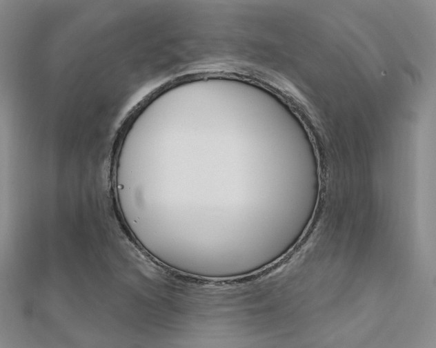 X0000112161216200908070931