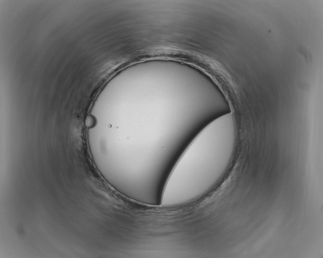X0000112161217200908070931