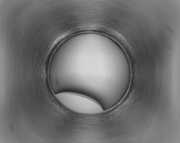 X0000112161218200908070931