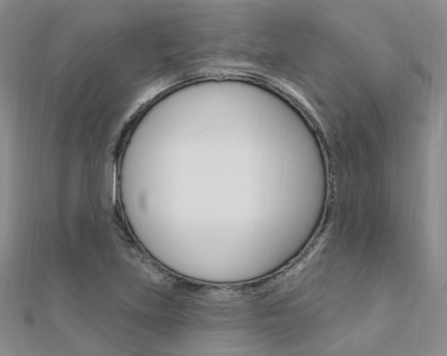 X0000112161219200908070931