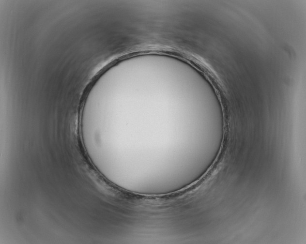 X0000112161220200908070931