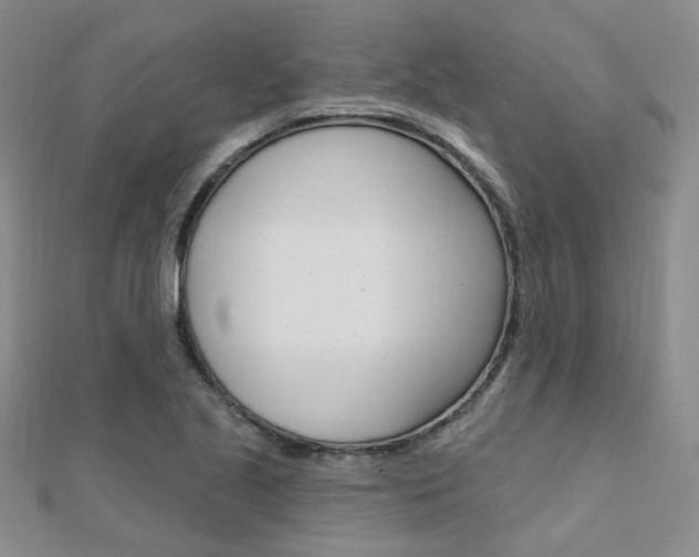 X0000112161221200908070931