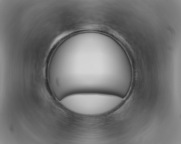 X0000112161222200908070931