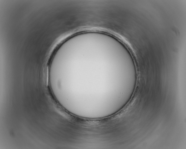 X0000112161223200908070931
