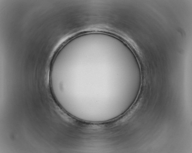 X0000112161224200908070931