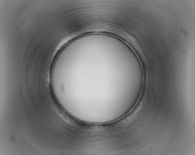 X0000112161226200908070931