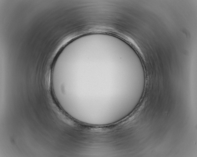 X0000112161227200908070931