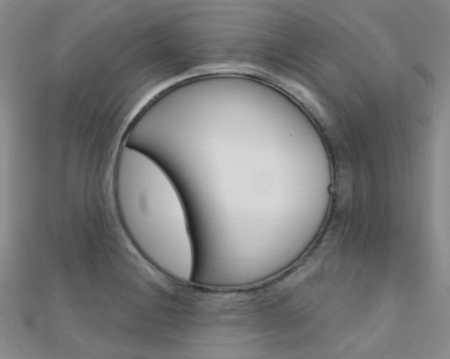 X0000112161228200908070931