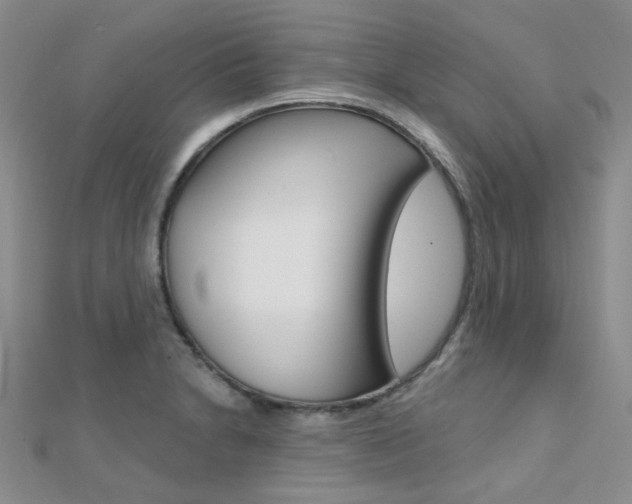 X0000112161230200908070931