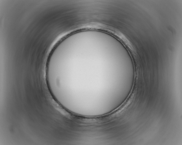 X0000112161232200908070932