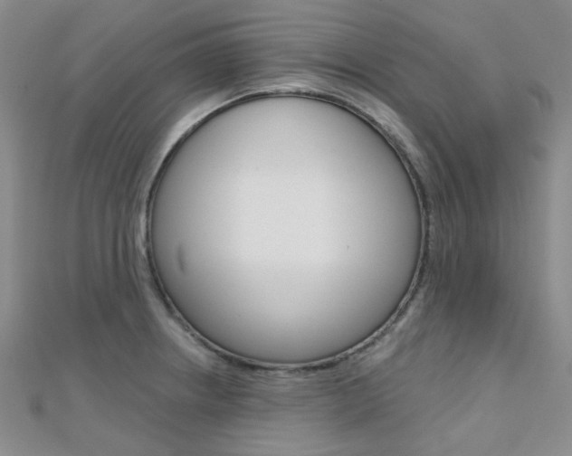 X0000112161234200908070932