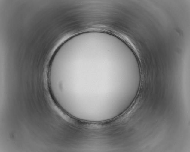 X0000112161235200908070932