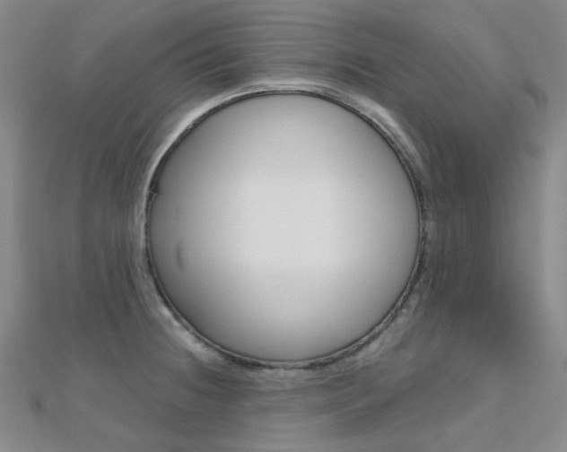 X0000112161236200908070932