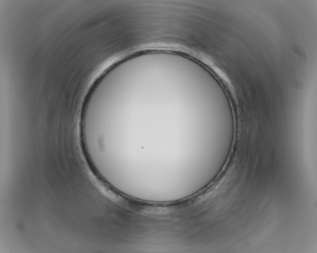 X0000112161237200908070932