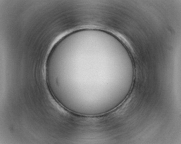 X0000112161238200908070932