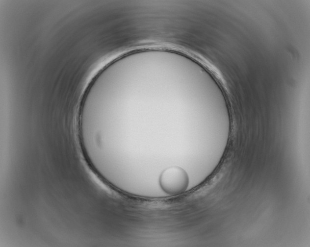 X0000112161239200908070932