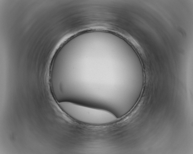 X0000112161240200908070932