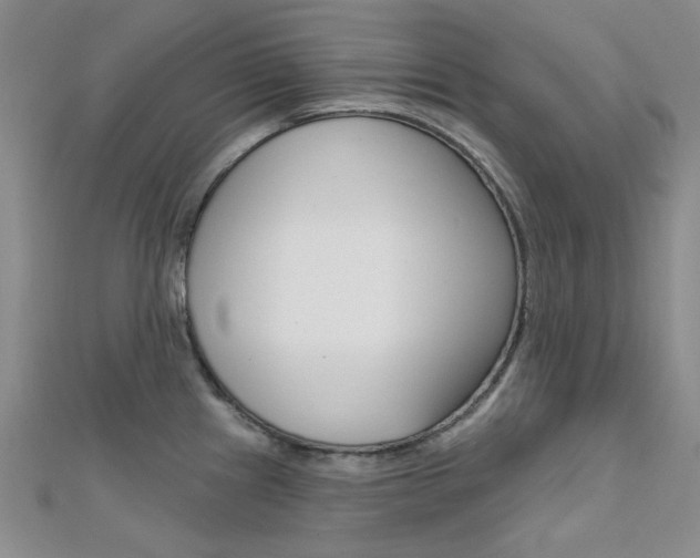 X0000112161241200908070932