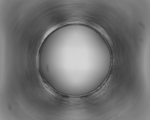 X0000112161242200908070932