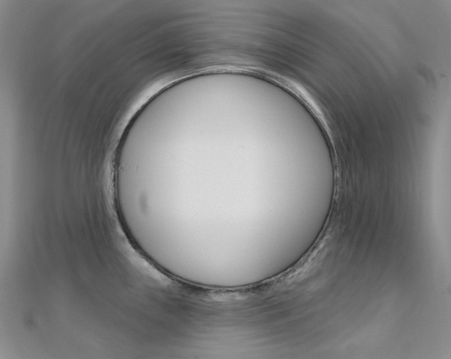 X0000112161243200908070932