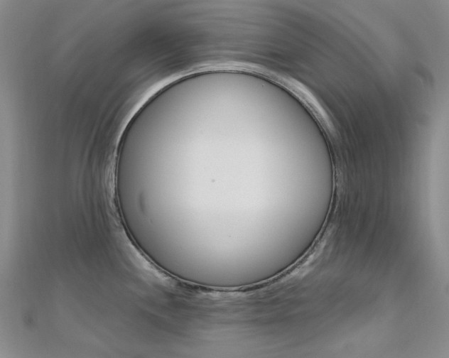 X0000112161244200908070932