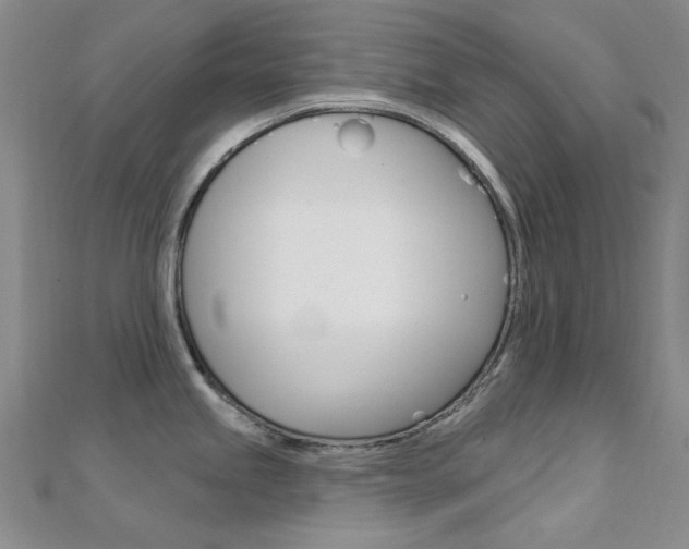X0000112161245200908070932