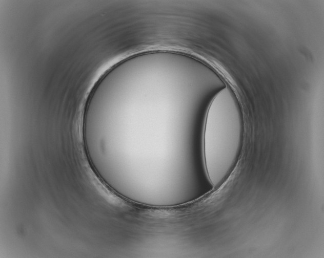 X0000112161246200908070932