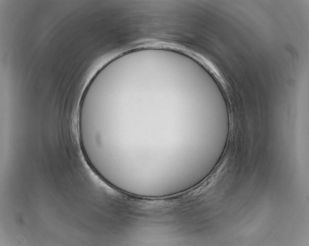 X0000112161247200908070932