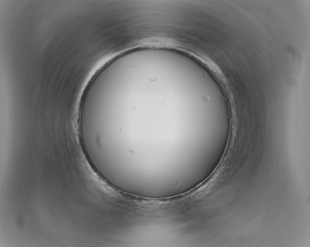 X0000112161248200908070932