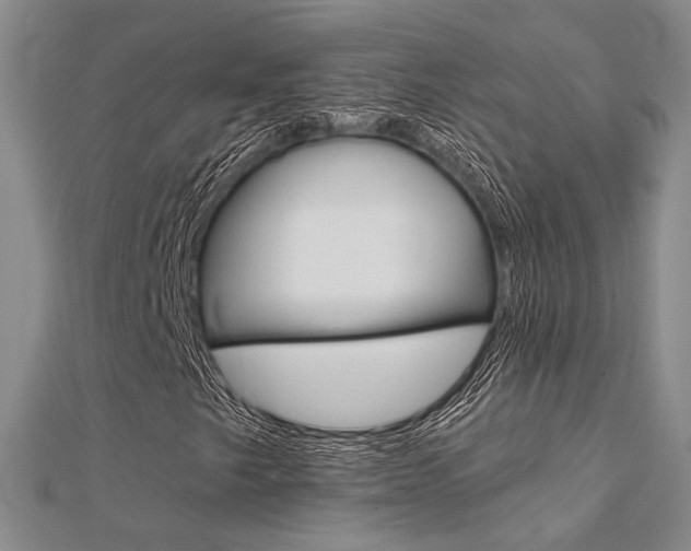X0000112161249200908070931