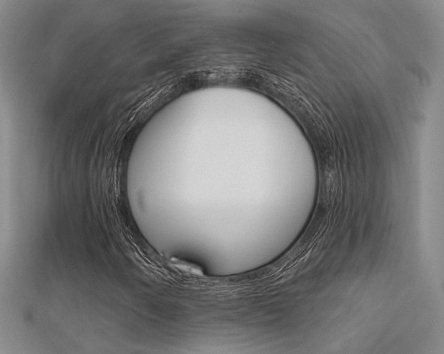 X0000112161250200908070931