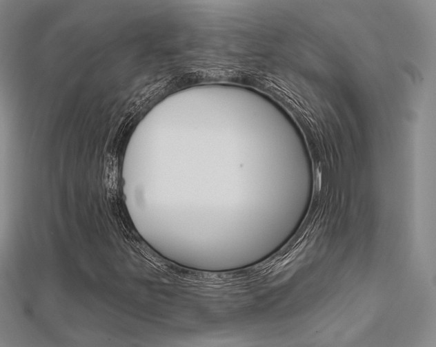 X0000112161251200908070931