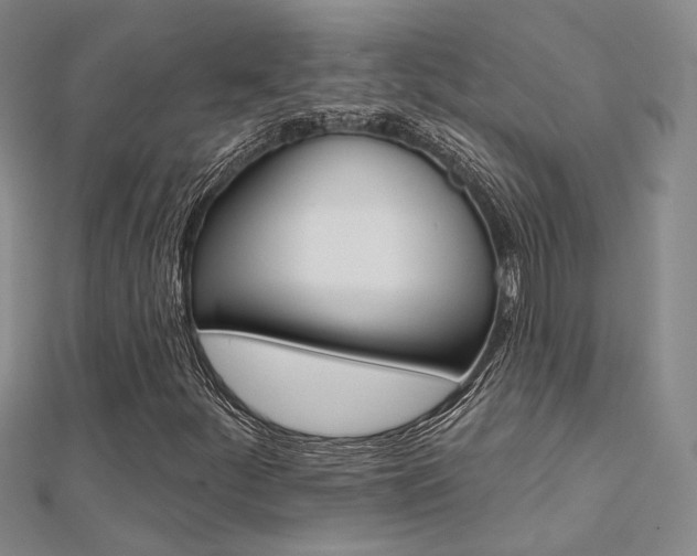 X0000112161252200908070931