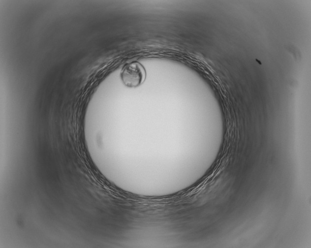 X0000112161253200908070931