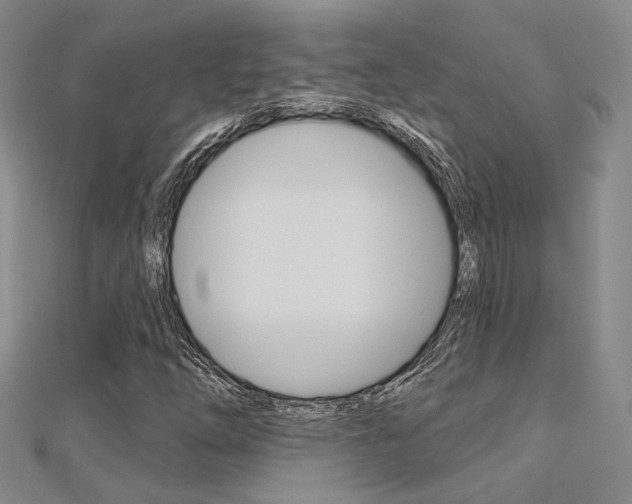 X0000112161254200908070931