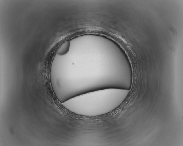 X0000112161255200908070931