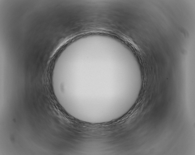 X0000112161256200908070931