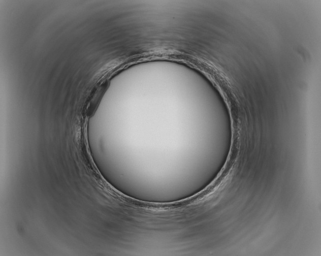 X0000112161257200908070931