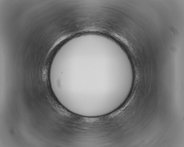 X0000112161258200908070931